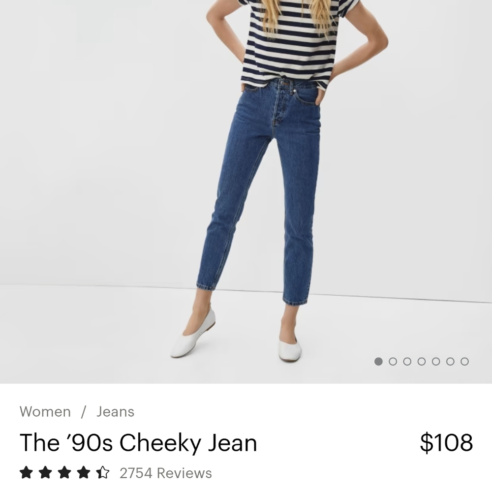NWT Everlane The 90's Cheeky Jean